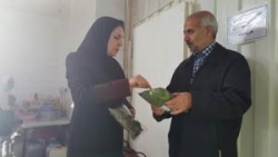 بازدید مدیرکل توانمندسازی صندوق کارآفرینی امید از "روزبه"