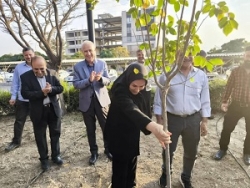 نهمین مراسم کاشت (قدیر آغاجی)